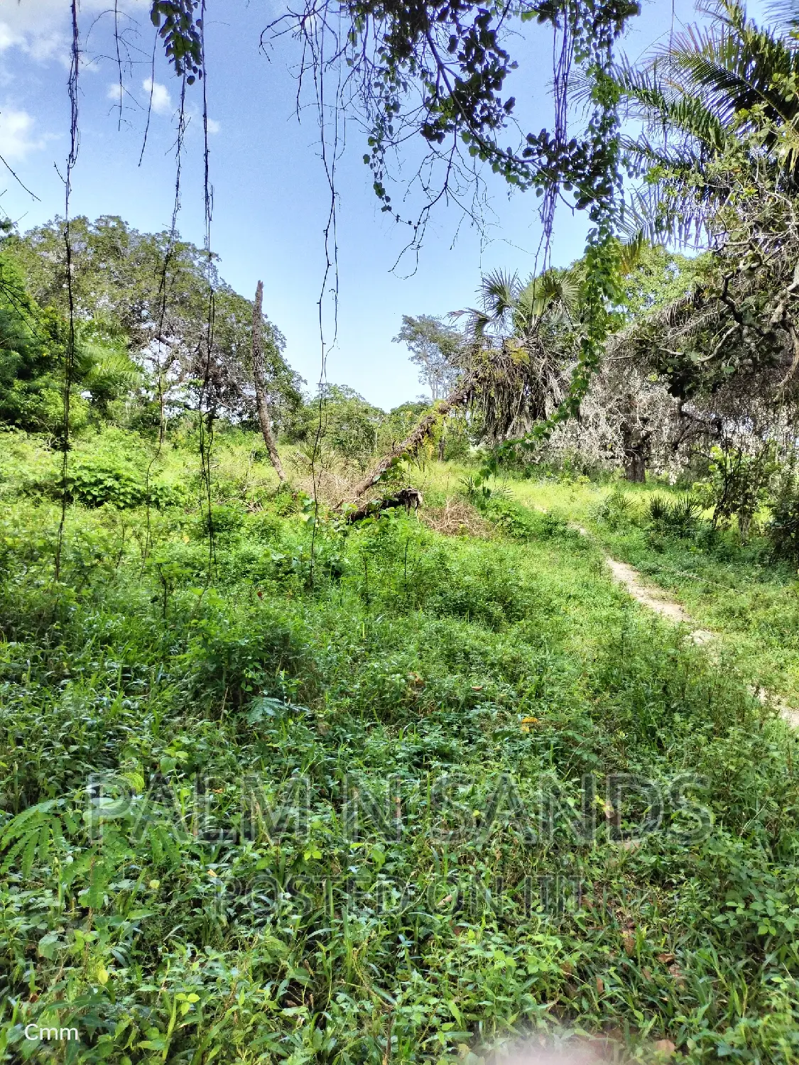 Shimbahills 28 Acres Farmland