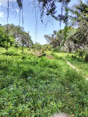 Shimbahills 28 Acres Farmland