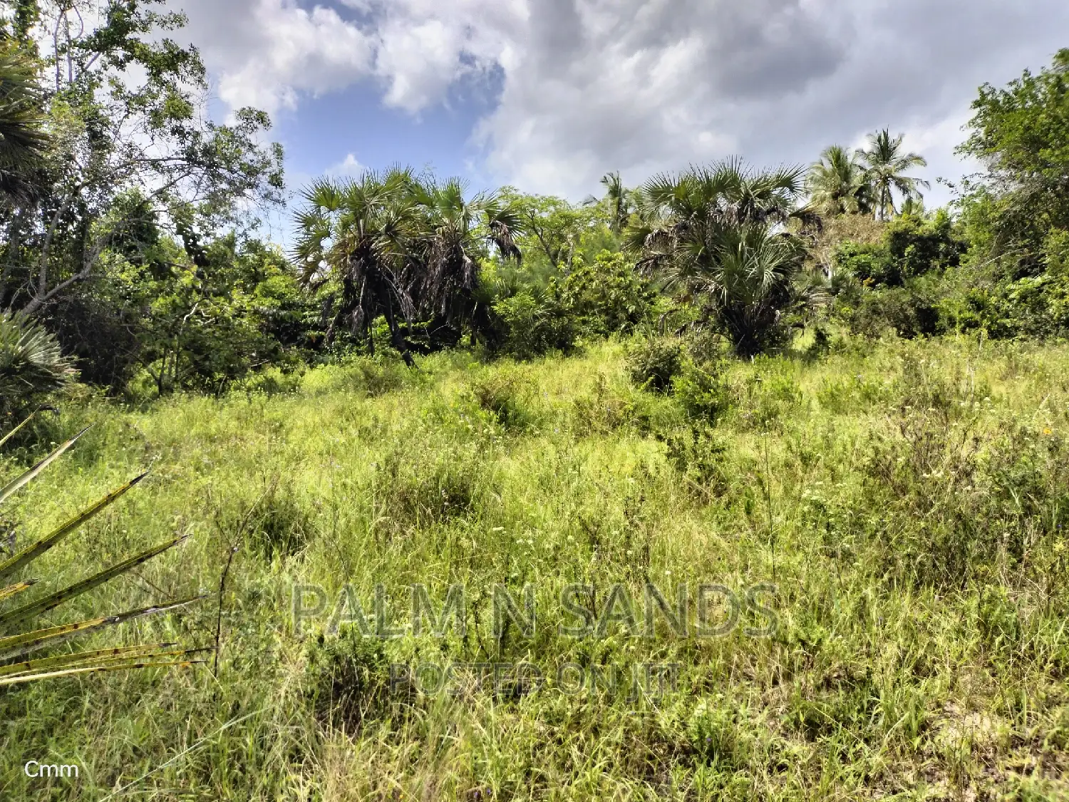 Shimbahills 28 Acres Farmland