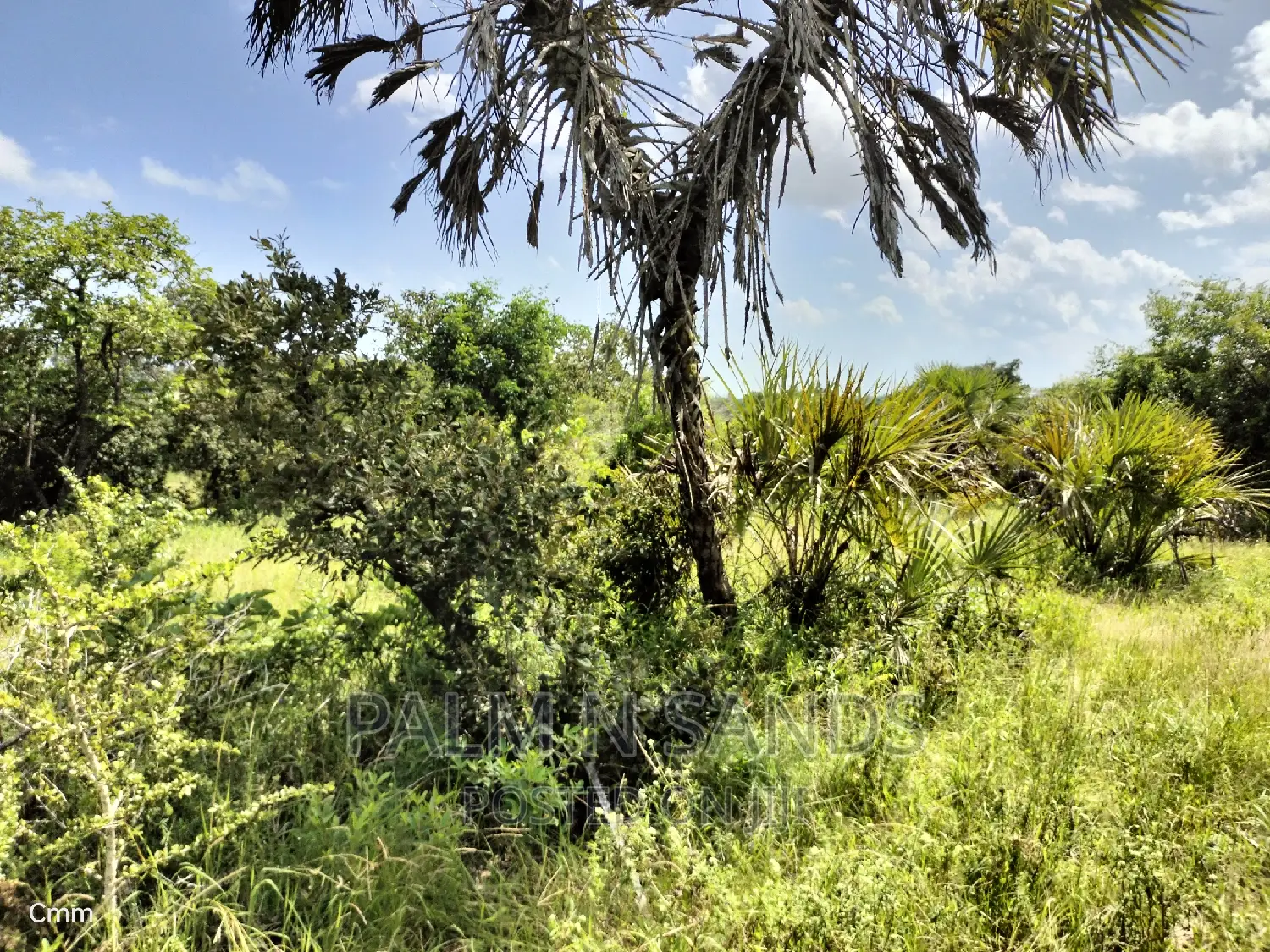 Shimbahills 28 Acres Farmland