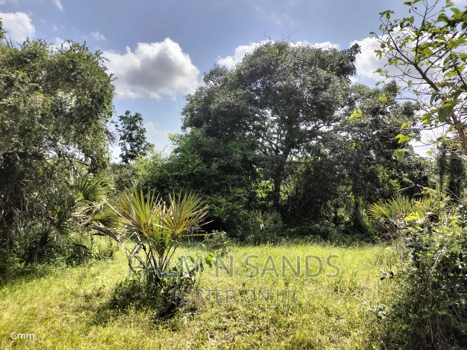 Shimbahills 28 Acres Farmland