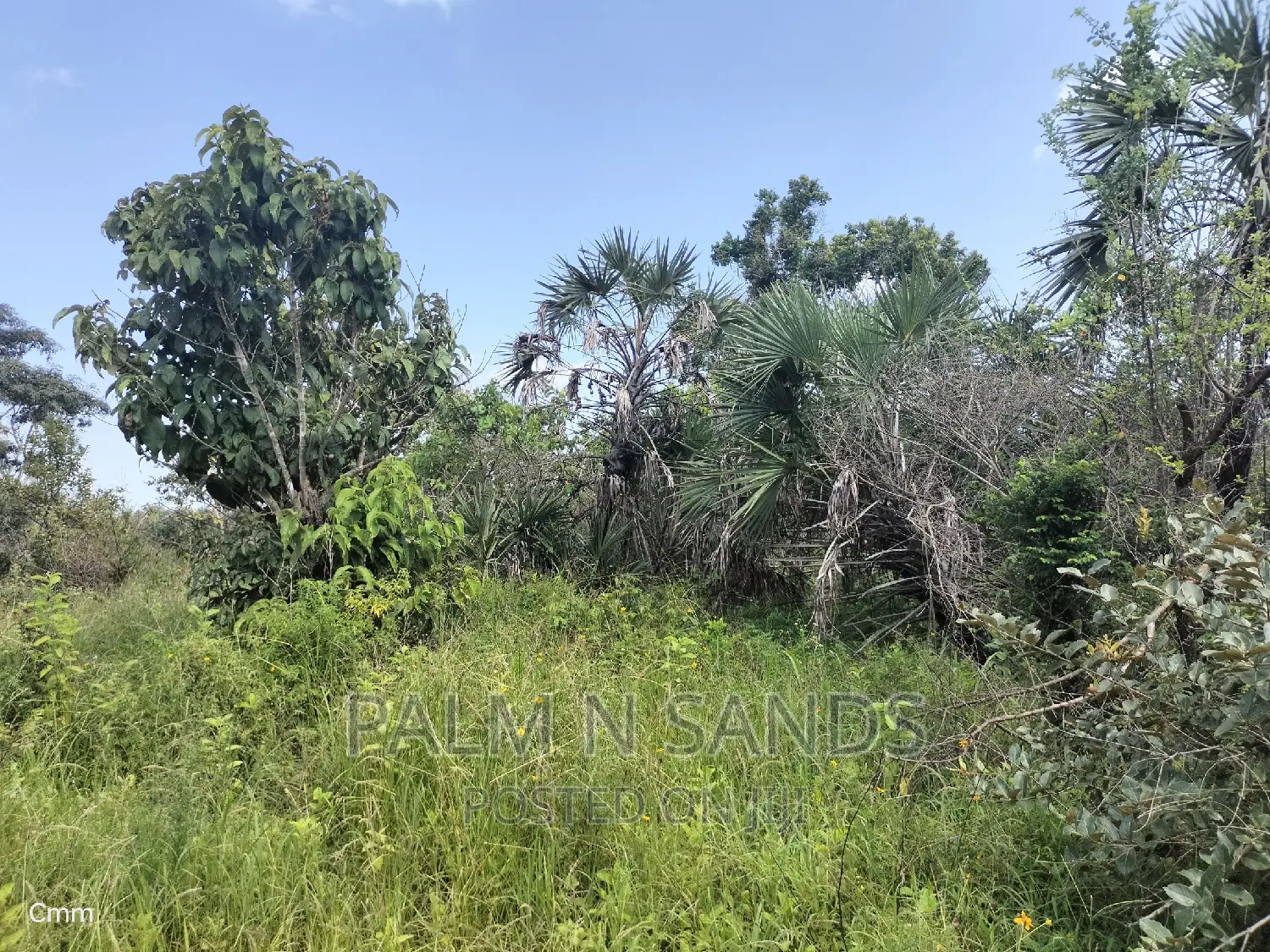 Shimbahills 28 Acres Farmland