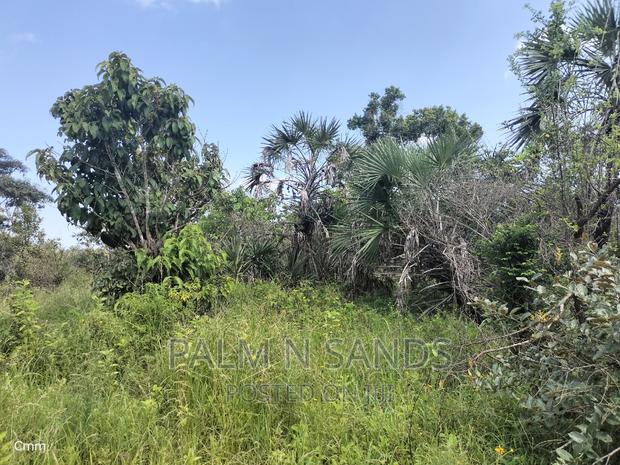 Shimbahills 28 Acres Farmland - thumbnail 10