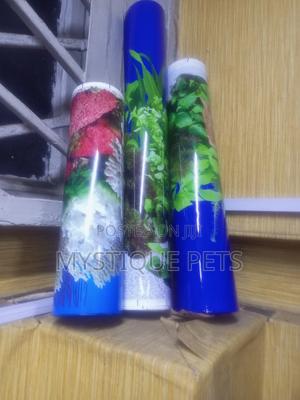 Back Ground - thumbnail 2