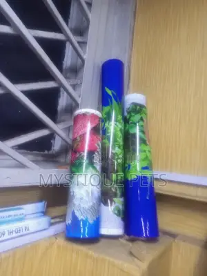 Back Ground