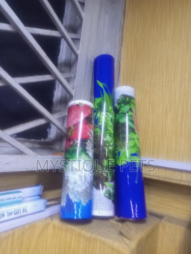 Back Ground - thumbnail 3