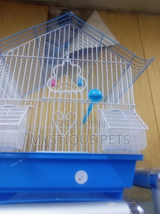 Bird _Cages - main view