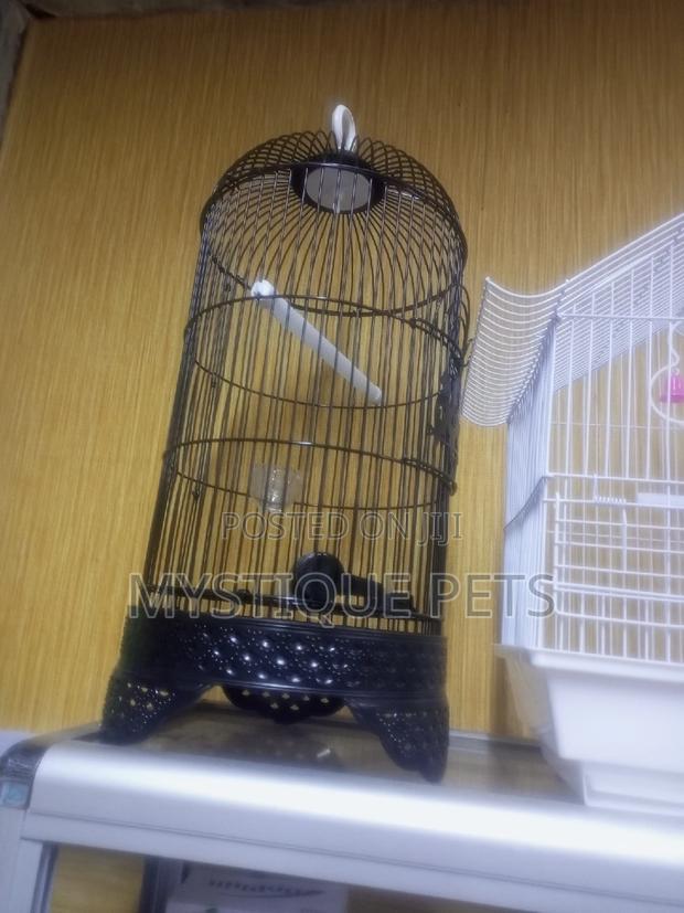 Bird _Cages - thumbnail 3