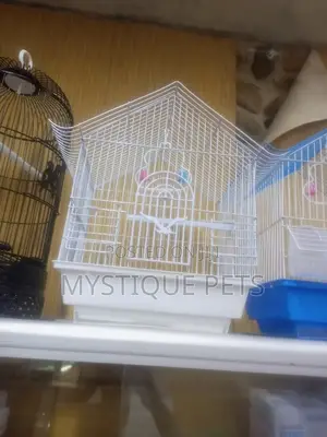 Bird _Cages