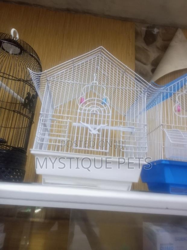 Bird _Cages - thumbnail 2