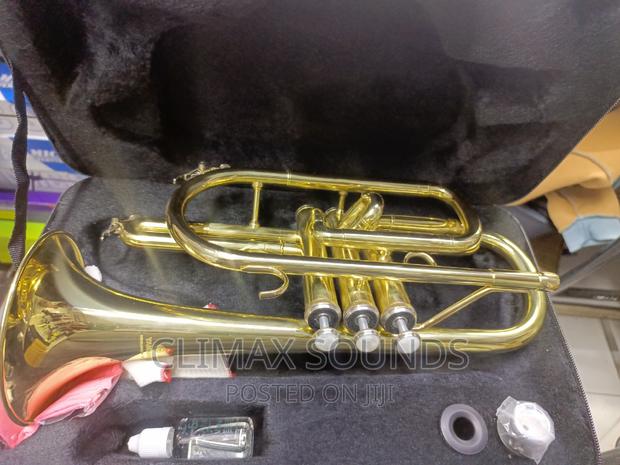 Yamaha Cornets - main view