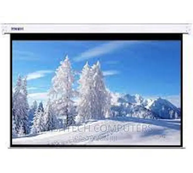 Auto Electric Projector Screen 240 X 240