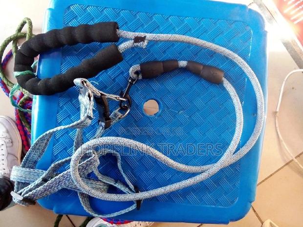 Dog Leash Set For Dog Leashes. - main view