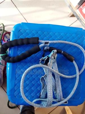 Dog Leash . - main view