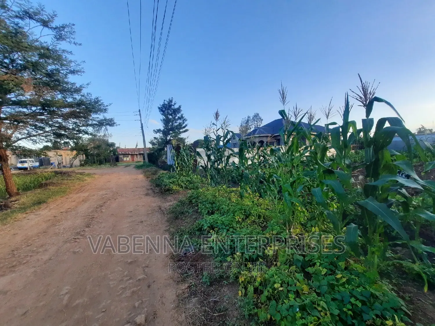 Kamiti Ridge Estate 50×100 Plot for Sale! in Kiambu / Kiambu Land & Plots for Sale, Kelvin
