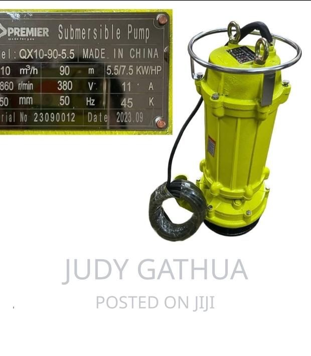 Submersible for Boer Hole Diggers Out Let 2"