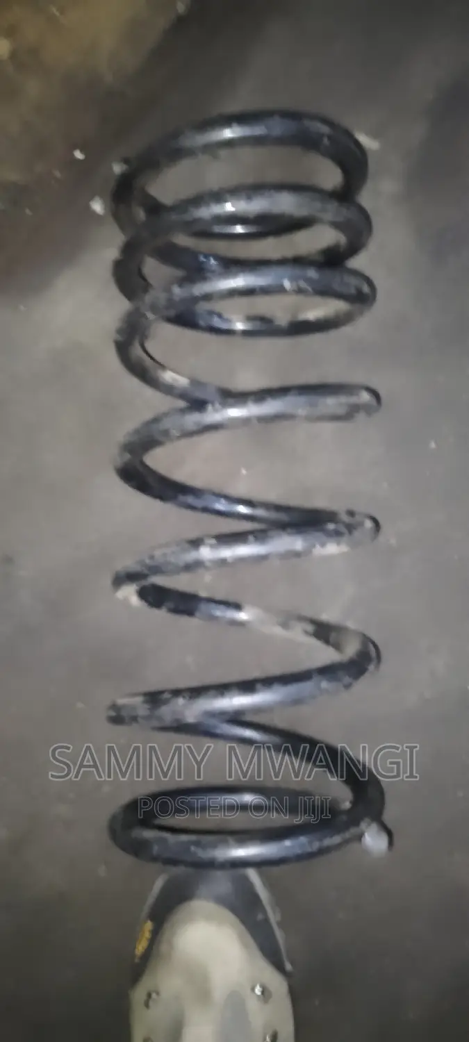 Prado 150 Rear Springs 