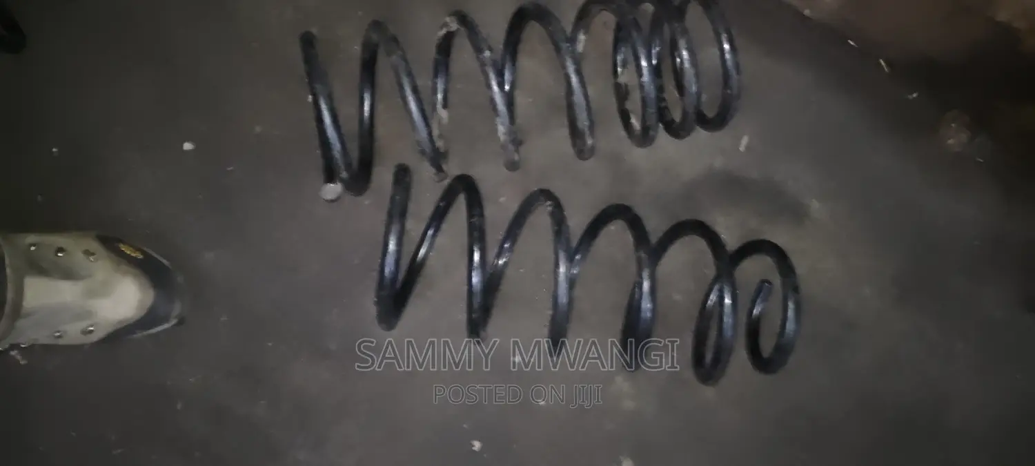 Prado 150 Rear Springs 