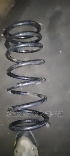 Prado 150 Rear Springs 
