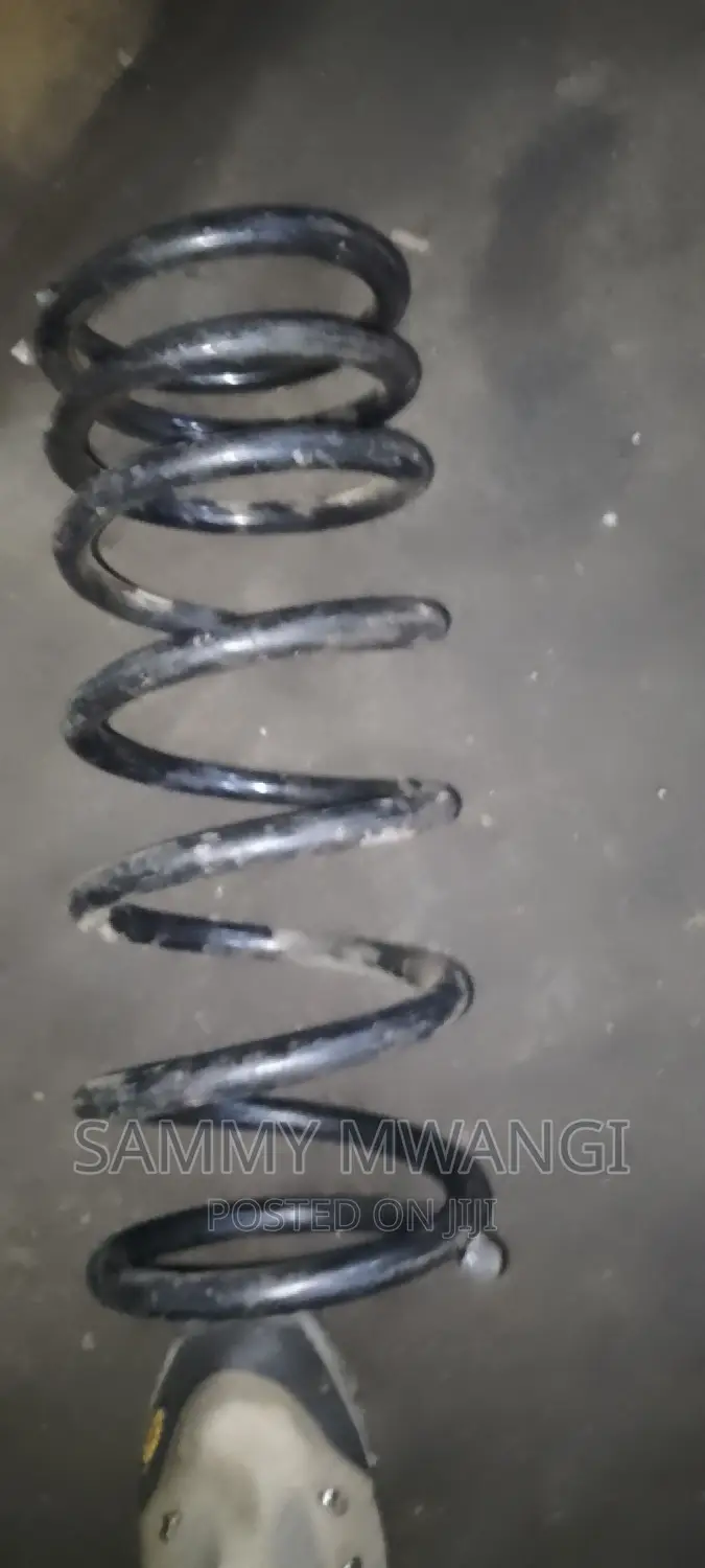 Prado 150 Rear Springs 