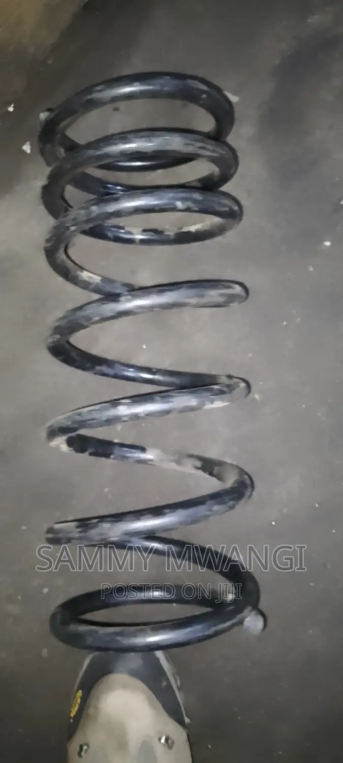 Prado 150 Rear Springs 