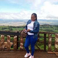 Nimz Supplies 2 logo