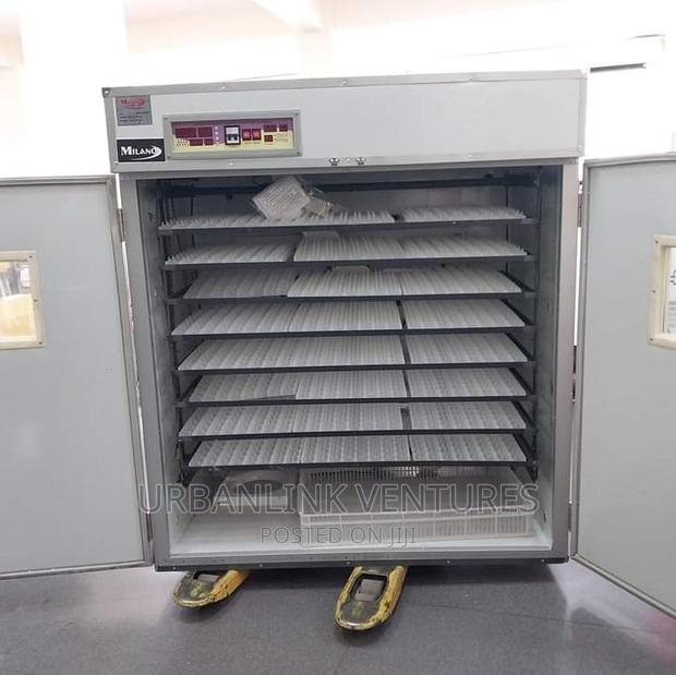 Egg Incubator
