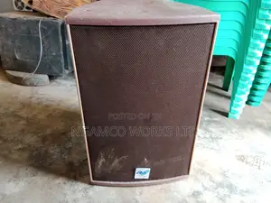 l'Acoustic 12" Speaker
