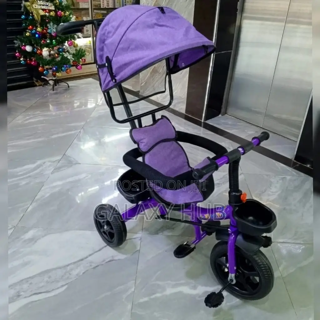 Tricycle With Canopy
Pushable Handle
Protective Side Bars