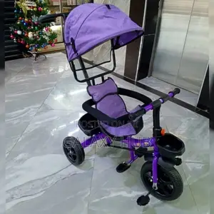 Tricycle With Canopy
Pushable Handle
Protective Side Bars