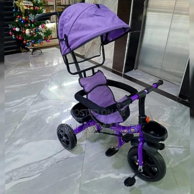 Tricycle With Canopy
Pushable Handle
Protective Side Bars