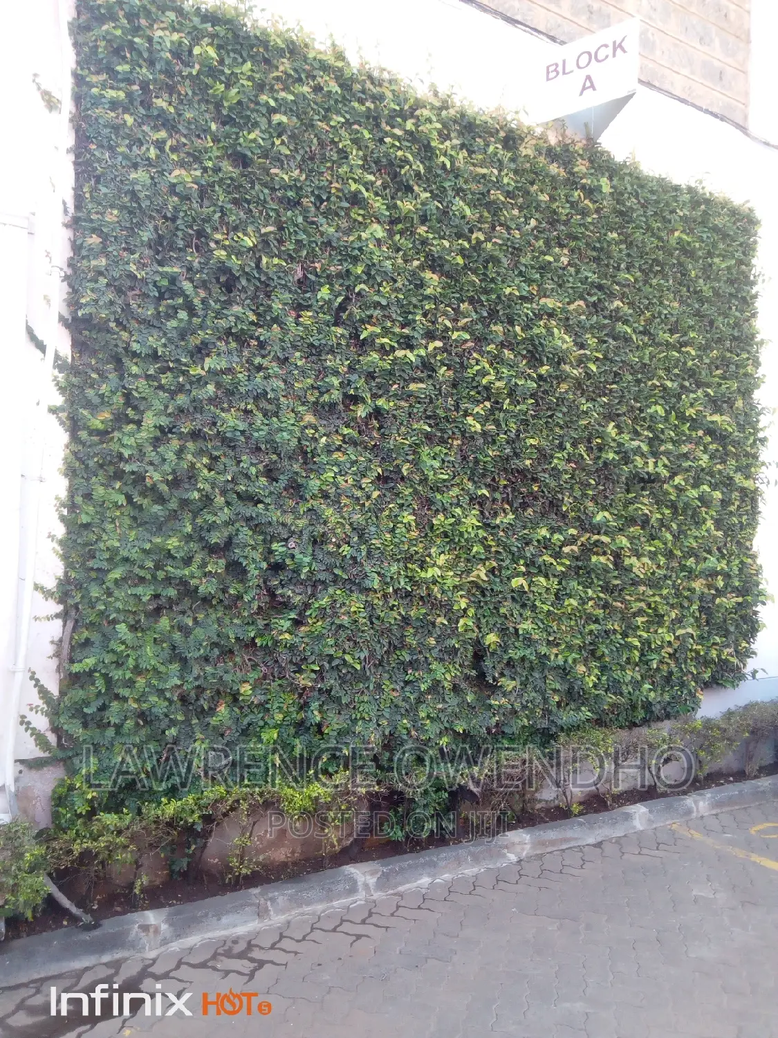 1bdrm Apartment in Ngara for rent