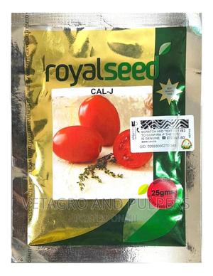 Royal Cal J Tomato Seeds - main view