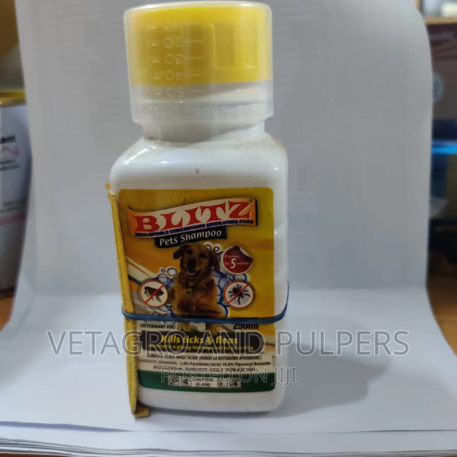 Blitz Pet Shampoo