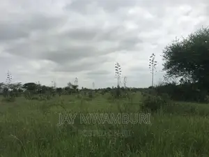 1acre Land Syokimau