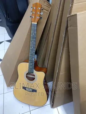 Fender Semi Acoustic Guitarr