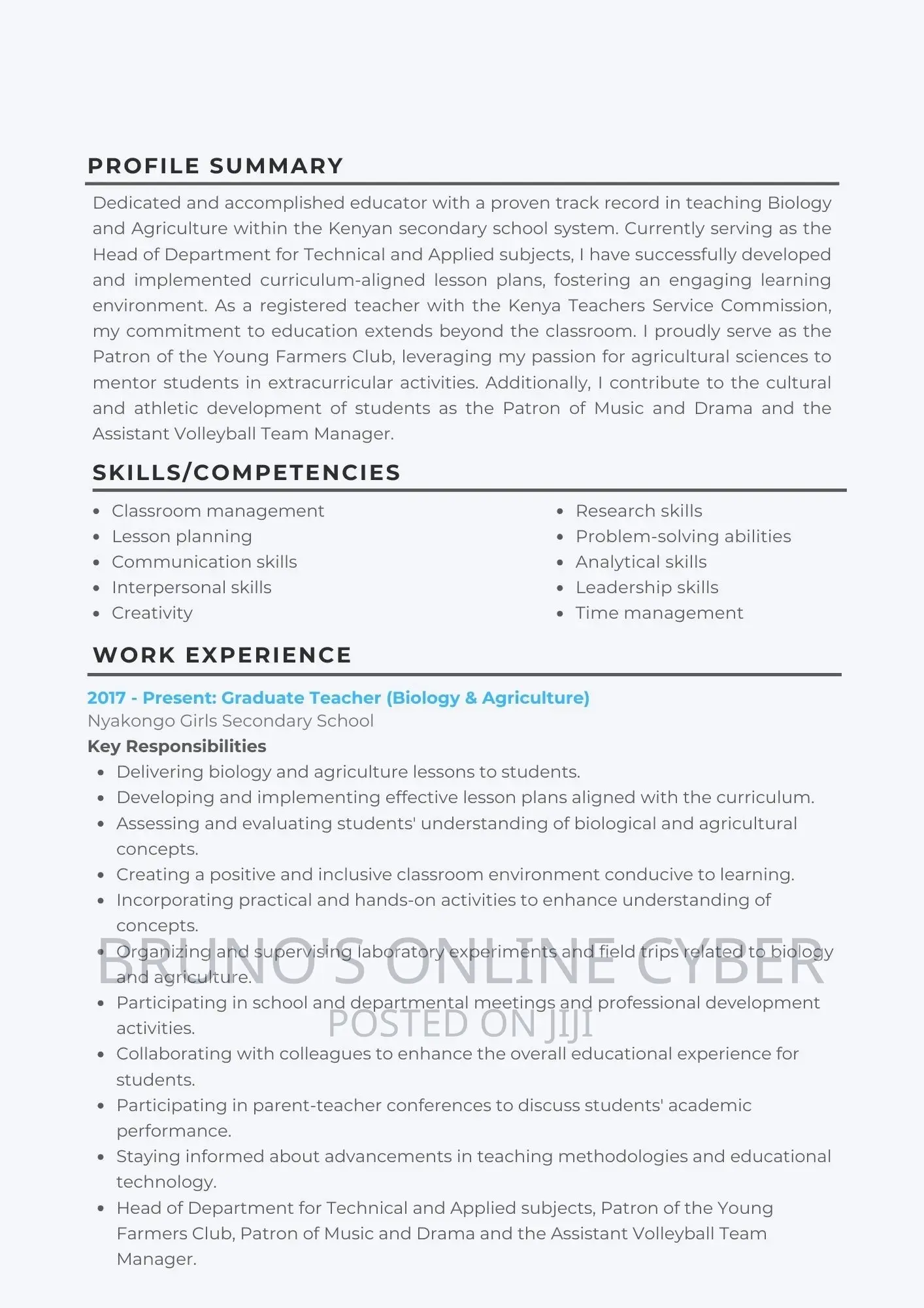 Professional CV Writing Services/Cv Revamp