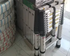 Telescopic Ladder