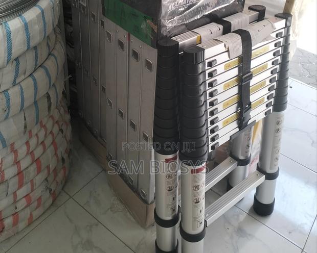 Telescopic Ladder