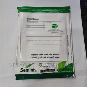 Hybrid White Cabbage Victoria Seeds - main view