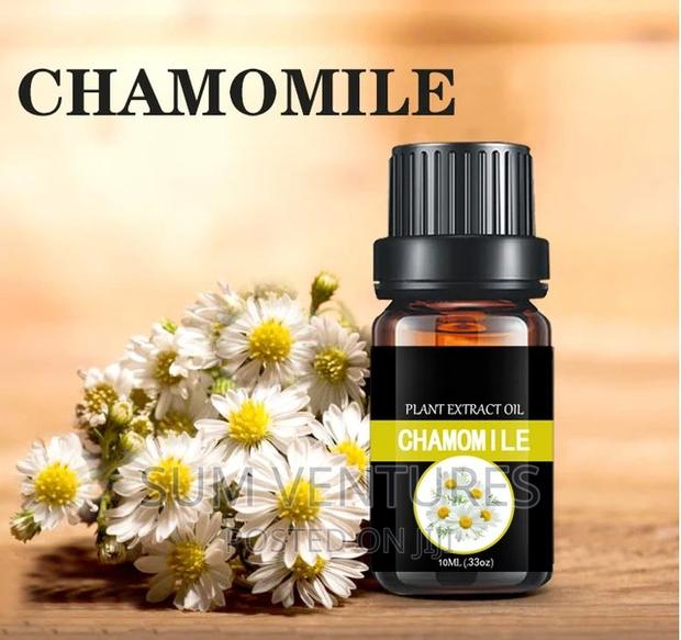 Chamomile Oil - main view