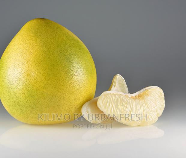 Pomelo Orange Seedlings Moq 5. - thumbnail 2