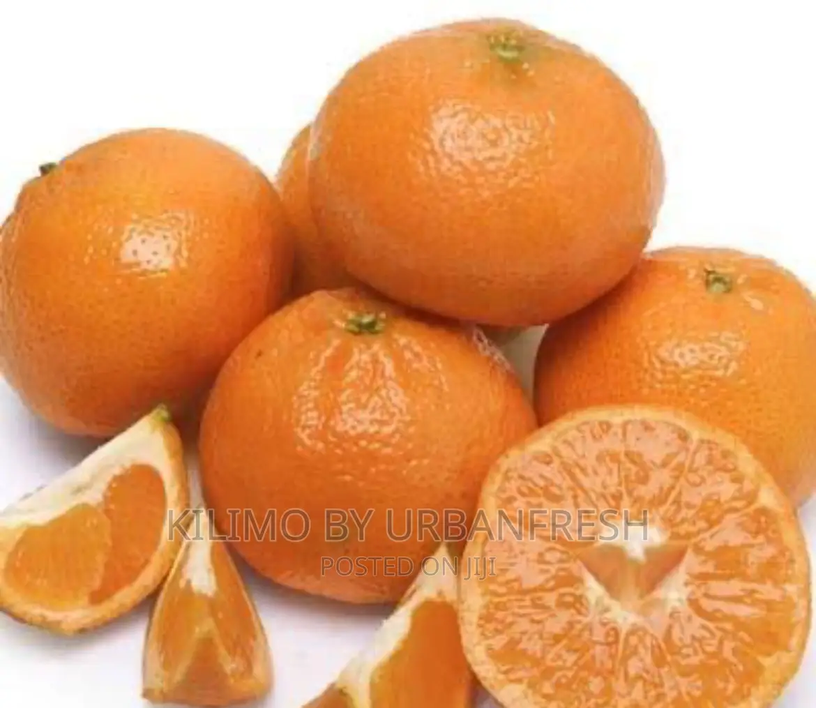 Murcott / Honey Tangerine Seedlings Moq 5