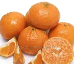 Murcott / Honey Tangerine Seedlings Moq 5