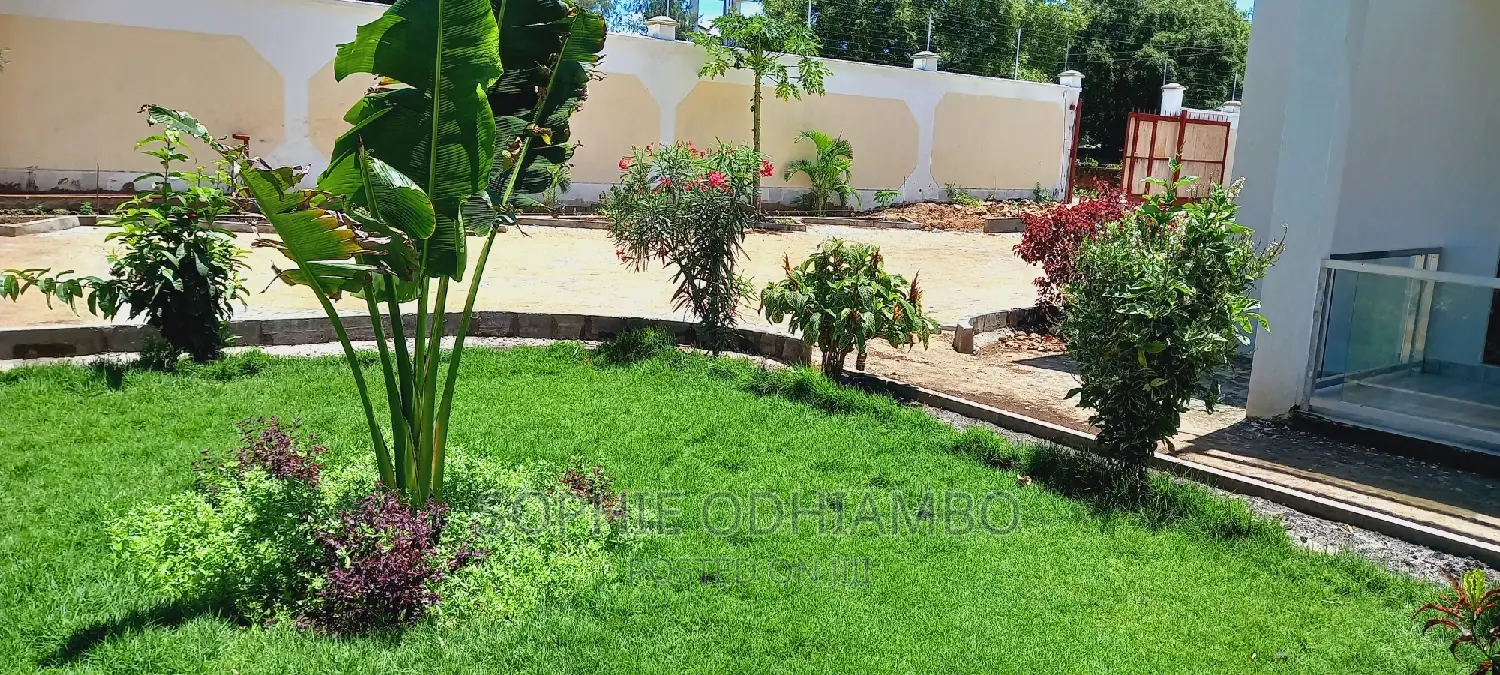 Diani Studios
