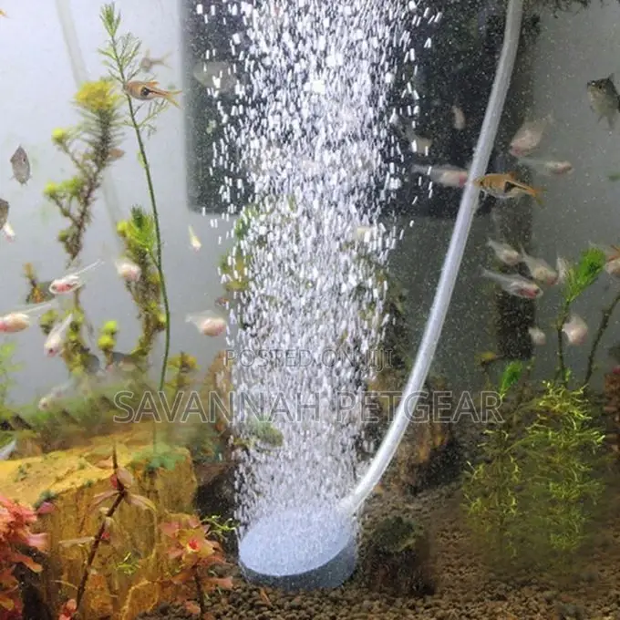 Sintered Air Stone For Freshwater Saltwater Aquarium -60mm