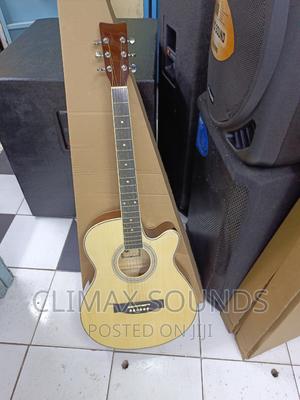 Acoustic Guitar Ibanezs - main view