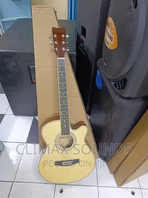 Acoustic Guitar Ibanezs