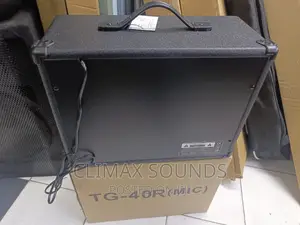 Guitar Combo Amplifier TG40 Mic