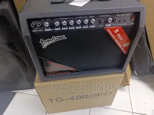 Guitar Combo Amplifier TG40 Mic